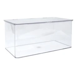 Hinged Clear Storage Bin Set, Large
